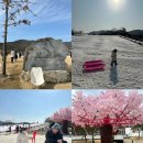 경주 아기랑 눈썰매장 감산470 미취학 아이랑 가기좋은 곳