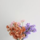 자이라플라워인동점