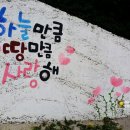 경주시니어클럽 화랑방역 | 경주 1박2일]길친(길동무)들과 떠나는 여행(경주 여행코스)