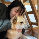 나무이야기 하우스 | 제주 숲길 투어 마이리얼트립휴식이 필요할때 forest 투어!