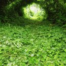 덕장농장 이미지