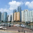 마린스크린 골프 이미지