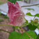 명진에코(주) 네이버블로그
