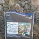 별방진 | 제주유채꽃명소, 별방진 유채꽃시즌 방문후기