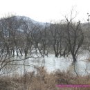 탑정호가 이미지