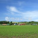 은영농장 이미지