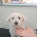 보리미용실 이미지