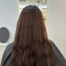 24시간대전동물메디컬센터숲