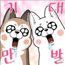 지엘 핏 네이버블로그