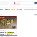 꽃꽃이(플라워테라피) 이미지