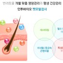 인투서비스연구소