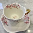 라라에스떼 이미지