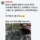 트리플핏점핑하이