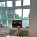 서산글램핑 이미지