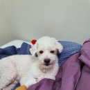 경기도 수원시 팔달구 경수대로642번길 이미지