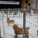 서울동물복지지원센터 동대문 동물병원 이미지