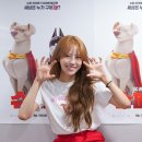 미주슈퍼 이미지