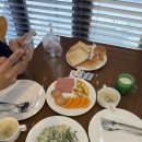제주도 3박 일기 (feat. 제주 국제 관광 마라톤 하프 후기, 셀프 웨딩 촬영, 제주 롯데호텔, 제주시...