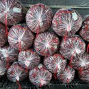 동천농장 이미지