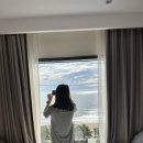 이안약국 | 다낭 7박8일 4일차 1️⃣(호이안 당일치기/인호이안스파/호이안 무료픽드랍 마사지/내돈내산 솔직후기)