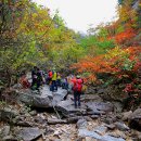 가는골1 이미지