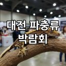 통일관_외부2 | 놓치면 후회할 대전 파충류 동반자 박람회! 2025 행사 방문 꿀팁부터 주차 정보까지 완벽 정리