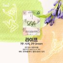 라이프컴퍼니 이미지