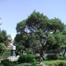 낙성대동-3 이미지