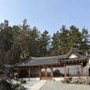 김강심 칼국수 이미지