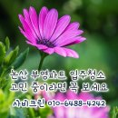 논산 부영아파트 입주청소 고민 중이라면 꼭 보세요.. 전후 차이 미쳤다