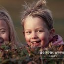 한여름밤의 돗자리 야외 극장 이미지