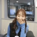 나미머리