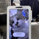 송시 | 속초 중앙시장 맛집_명란싫어 인간의 장홍김밥 추천 후기