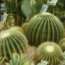 안산 식물원 이미지