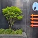 호텔더디자이너스 리즈 스윗 역삼 이미지