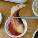 진이네조개전골 | 물왕저수지맛집 조가네갑오징어 물왕호수점 솔직 후기