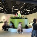 민영유치원 | 와일드벅스 곤충탐험대, 아이들이 푹 빠진 체험 후기😸