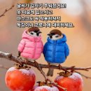 간추린 뉴스 이미지