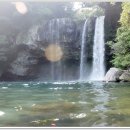 천지연폭포 이미지