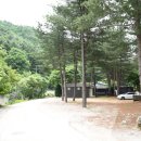 잣나무 향기 펜션 이미지