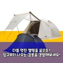 나르시스적 꿈 | 노스피크 나르시스 돔 플러스 캠핑 돔 텐트, 캠핑의 품격을 높여줄 선택!