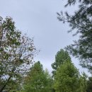 문암목장 이미지