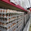 재연농장 이미지