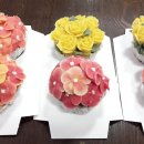 애플블라썸