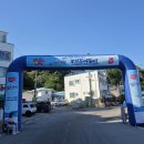 ​주말 강원 가볼 만한 곳, 고성 대진항 대문어 축제! (가격, 상품권 환급 꿀팁, 문어 요리)