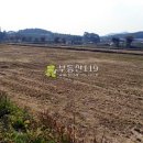 동호리농장 이미지