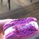 아슈크림 이미지