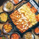 장수오리 이미지