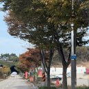 용유로L 이미지