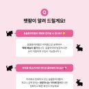 두리약국 이미지